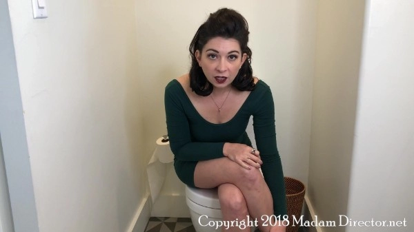 Madam Director - Good Party Toilet Etiquette