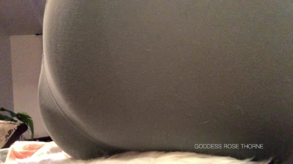 Fart Collection 4 Goddess Rose Thorne